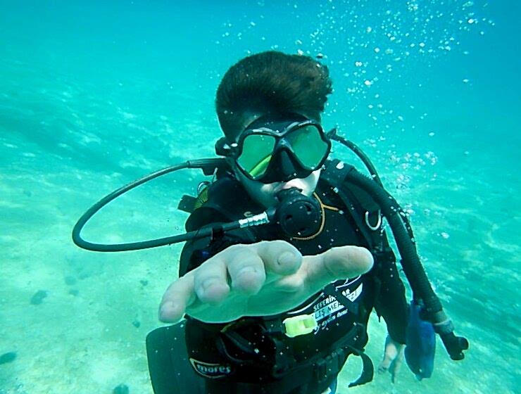 1 Yıldız Dalış Eğitimi