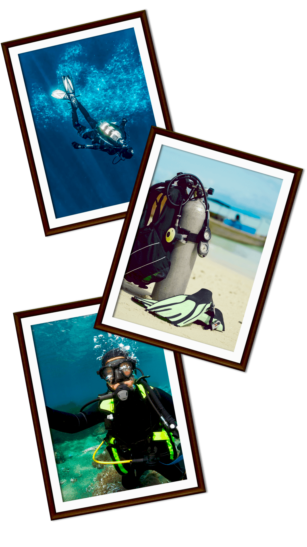 İzmir Tüplü Dalış